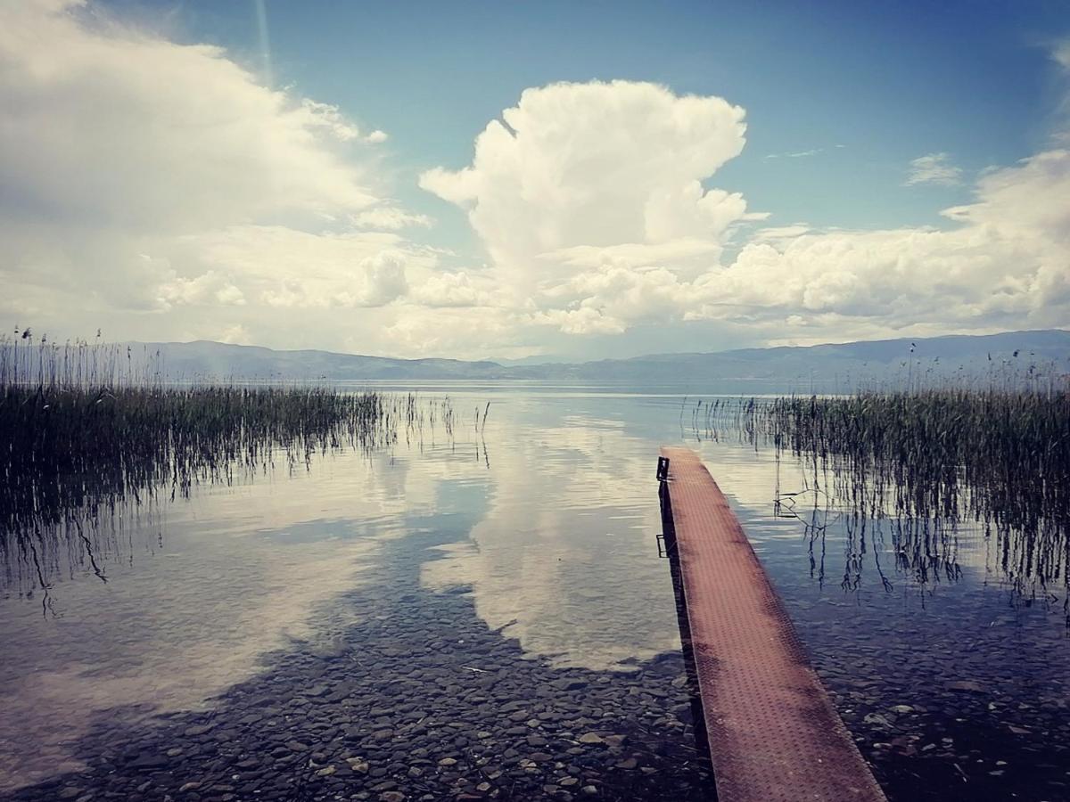 Vineyard Apartment Ohrid Buitenkant foto